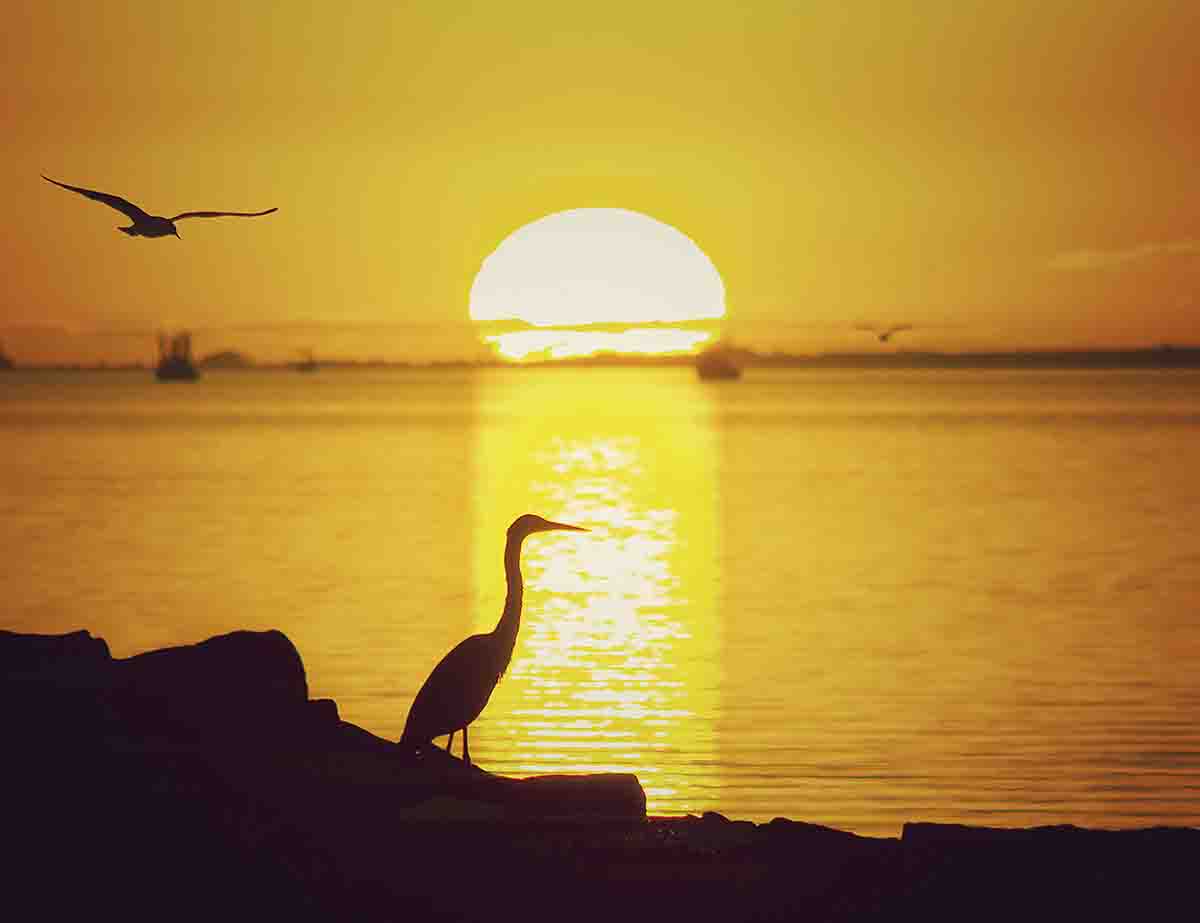 Sunrise at Texas City Dike